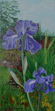 Le jardin aux iris