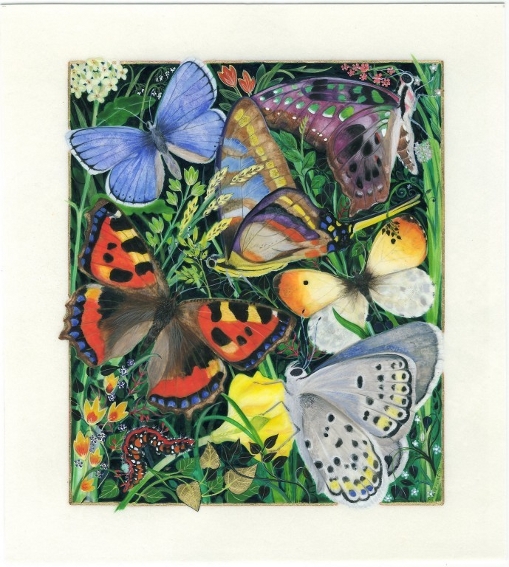 Papillon Symphonie
