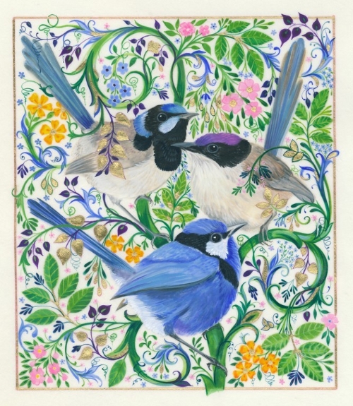 Australia birds