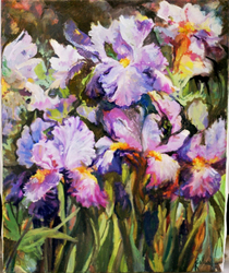 Les Iris