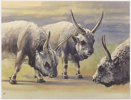 Roland STRASSER - Drawing-Watercolor - "Yaks", Watercolor, 1950s