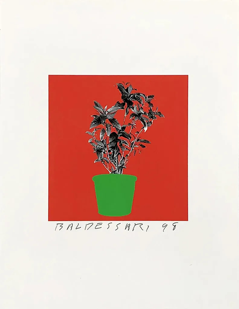 UNTITLED (FROM 8 PLANTS X 6 = 48) by | John BALDESSARI | buy art