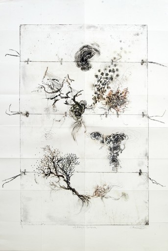 Susan COLLETT - 版画 - Lineage Mapping Sequel