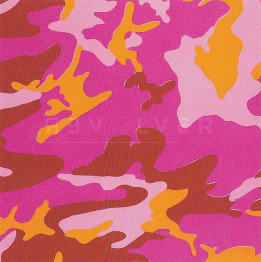 Andy WARHOL - Stampa-Multiplo - Camouflage (FS II.408)