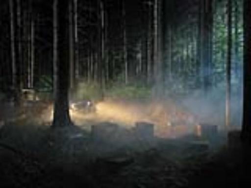 格里高利·克鲁德逊 - 照片 -  Production Still (Man in the Woods  #4)