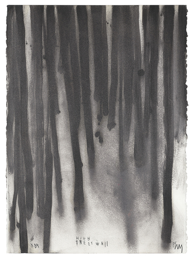 Edgar PLANS - Disegno Acquarello - High Trees Wall