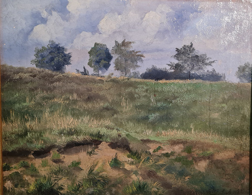 Ferdinand KOSTER - Pintura - Wiesenlandschaft