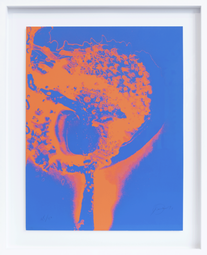 Otto PIENE - Print-Multiple - Feuerflora Blau auf Leuchtrot