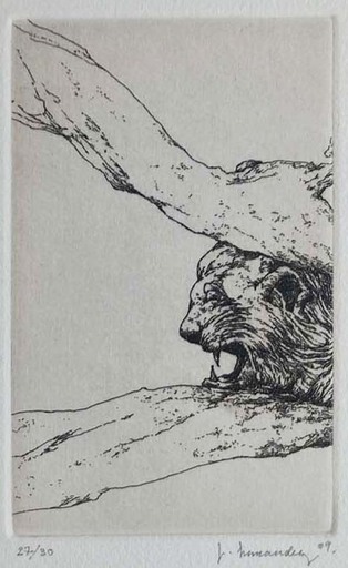 José HERNÁNDEZ - 版画 - Tête de lion 