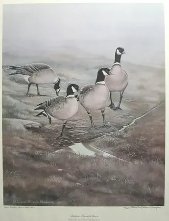 Canada goose top en vente