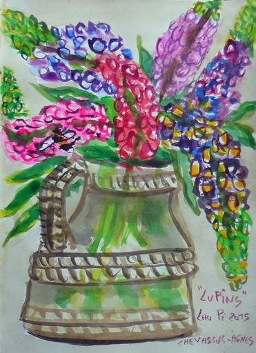 Jean-Pierre CHEVASSUS-AGNES - Disegno Acquarello - bouquet de fleurs de LUPIN dans un vase