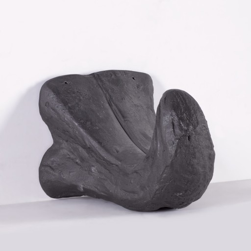 Anna Laura ALAEZ - Sculpture-Volume - Animal Tongue