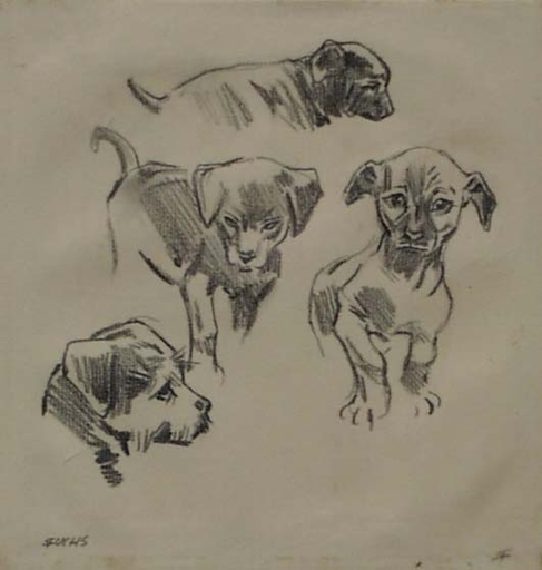 Robert FUCHS - Dessin-Aquarelle - "Puppy Studies" by Robert Fuchs, ca 1930 