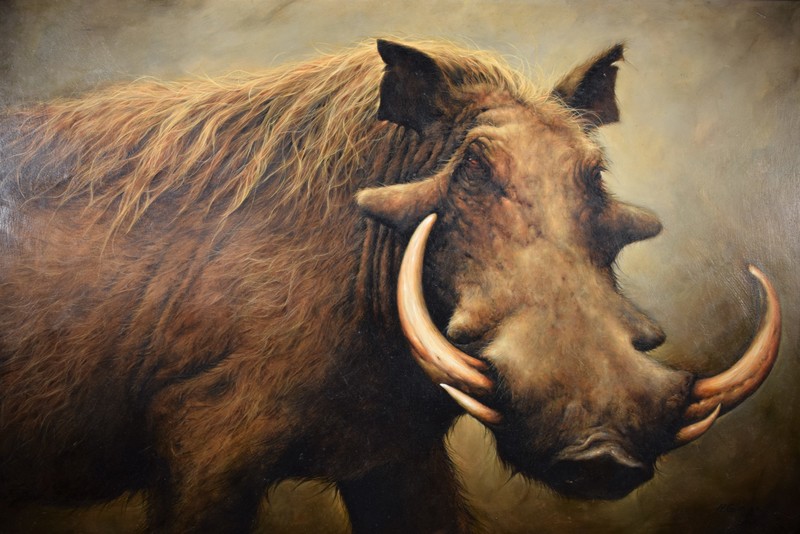 Wild Boar de | Nancy L. GLAZIER | Compra de arte online | artprice