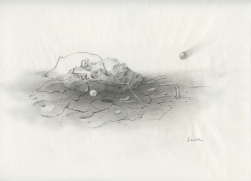 Hiroshi ASADA - Drawing-Watercolor - DESSIN AU CRAYON SUR PAPIER CALQUE SIGNÉ HANDSIGNED DRAWING