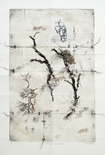 Susan COLLETT - 版画 - Lineage Mapping