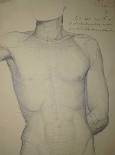 Angeles BENIMELLI - 水彩作品 - Academic anatomical drawing artist male 9 N9