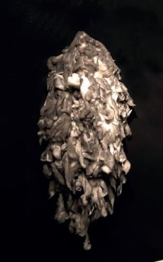 Flavio Tiberio PETRICCA - Sculpture-Volume - Nuvola