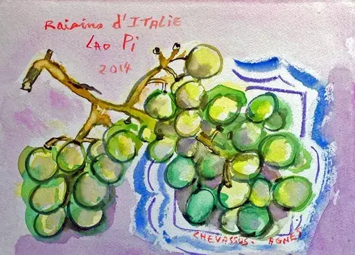 Jean-Pierre CHEVASSUS-AGNES - Dibujo Acuarela - raisins blancs d'Italie