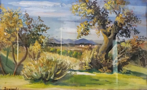 Angeles BENIMELLI - Drawing-Watercolor - Paisaje español con olivo antiguo