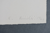 Ed RUSCHA - Print-Multiple - Boiling Blood, Fly