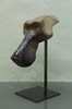 Quentin GAREL - Skulptur Volumen - Masque de Babouin