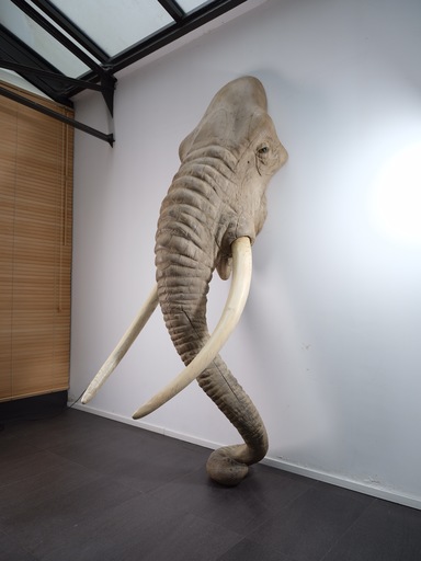 Quentin GAREL - Sculpture-Volume - Elephant III