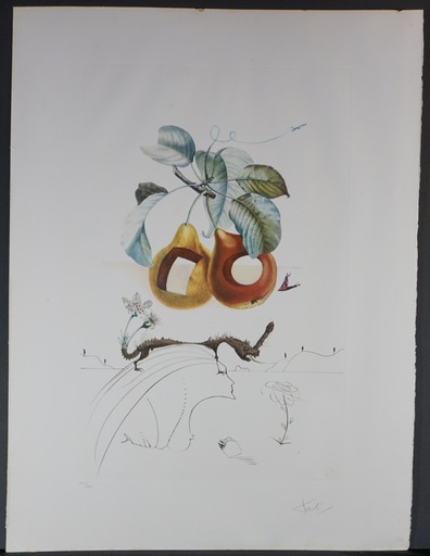 萨尔瓦多·达利 - 版画 - Flor/Dali Les Fruits Fruit With Holes
