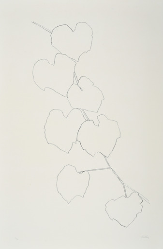 艾尔斯沃茲‧凱利 - 版画 - Grape Leaves II
