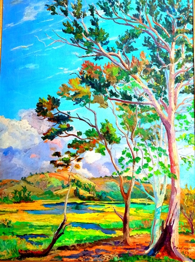 Paul C. HARI - Peinture - Paysage du Costa Rica 