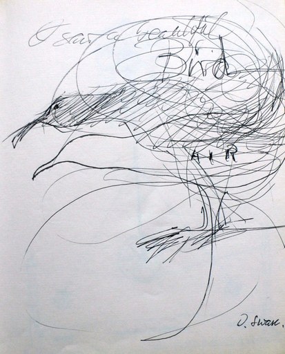 Douglas SWAN - Disegno Acquarello - A beautiful bird