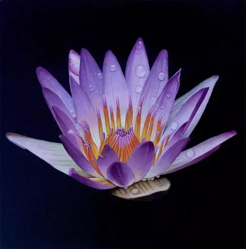 Dietrich MORAVEC - 绘画 - Lotus Crown