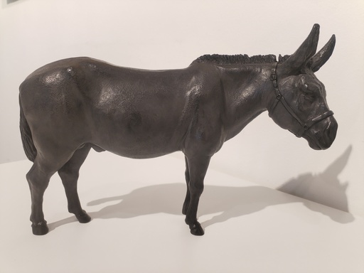 Damien COLCOMBET - Sculpture-Volume - Grand âne
