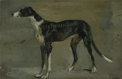 Ulpiano CHECA Y SANZ - Painting - Galgo - Lévrier espagnol