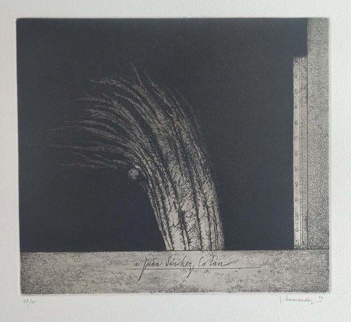 José HERNÁNDEZ - Print-Multiple - Still life