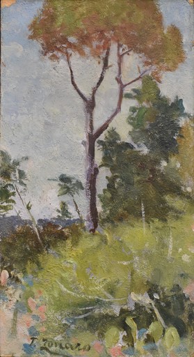 Fausto ZONARO - Painting - Sul Vesuvio