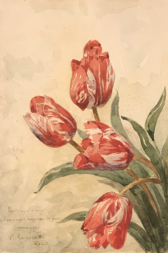 Salvatore GREGORIETTI - Dessin-Aquarelle - Tulipani rosa