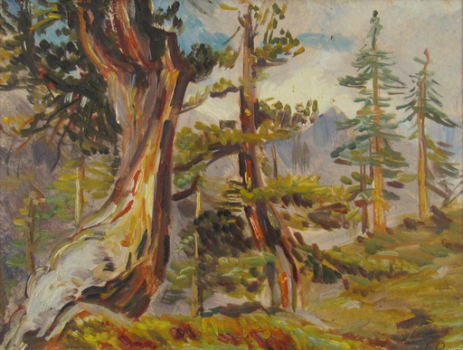 Hanny BAY - Gemälde - Arvenwald im Graubünden