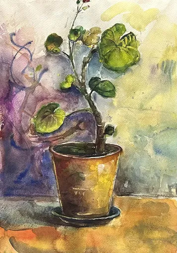Dali NAZARISHVILI - Disegno Acquarello - Still Life With Plant