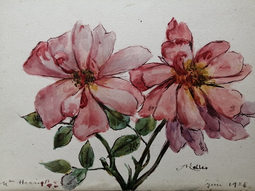 Alfred KELLER - Drawing-Watercolor - Roses Herriot