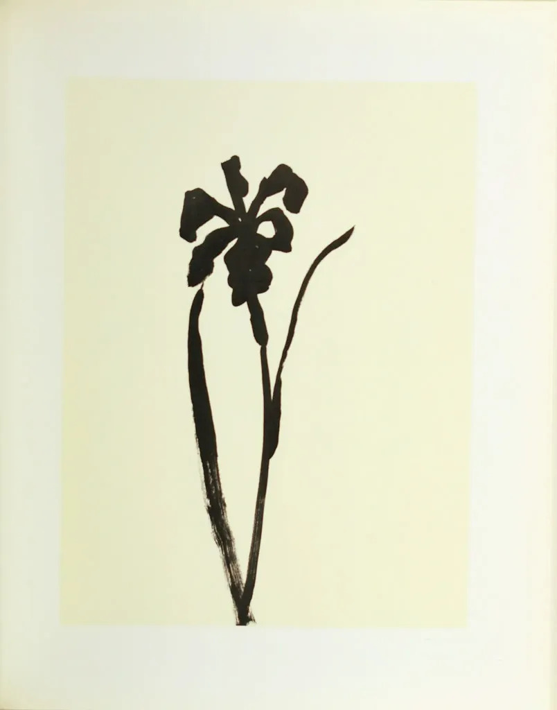 Plant Drawings by | Ellsworth KELLY | buy art online | artprice