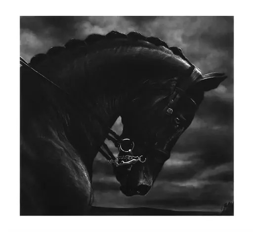 Robert LONGO - Estampe-Multiple - Bucephalus