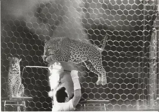 Hans SILVESTER - Fotografia - Im Zirkus, Basel (1962)