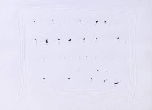 Lucio FONTANA - Gemälde - Space Concept on cardboard