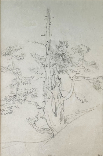 Théodore ROUSSEAU - Zeichnung Aquarell - Étude d'arbre