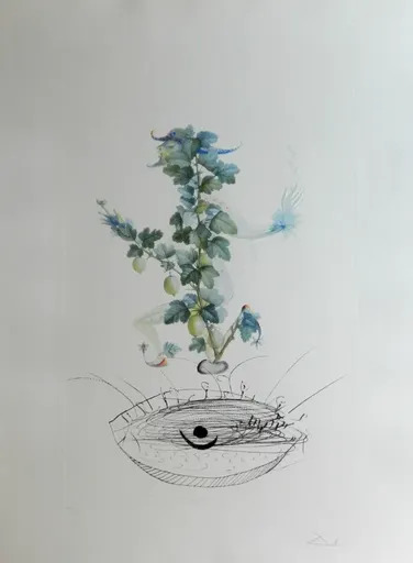 Salvador DALI - Print-Multiple - FlorDali/Les Fruits Gooseberry
