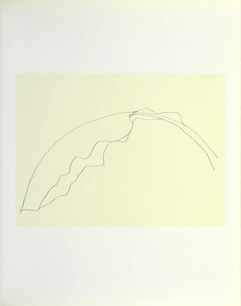 Ellsworth Kelly: Plant Drawings (MATTHEW MARKS G): Kelly
