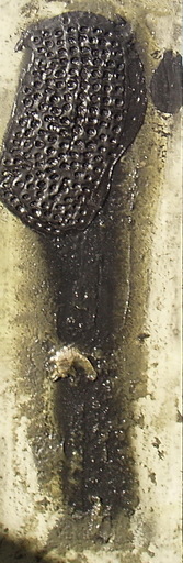 Darío ALVAREZ BASSO - Gemälde - columna matérica