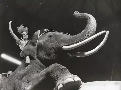 Hans SILVESTER - Photography - Im Zirkus, Basel (1962)