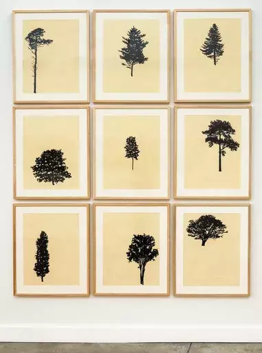 Peter HOFFER - Estampe-Multiple - Der Wald 10/12 - framed portfolio of nine woodblock prints